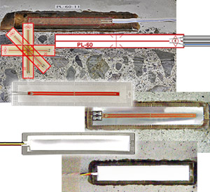 壹号娱乐 - NG大舞台,有梦你就来