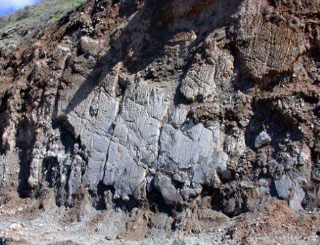 壹号娱乐 - NG大舞台,有梦你就来