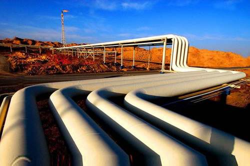 壹号娱乐 - NG大舞台,有梦你就来