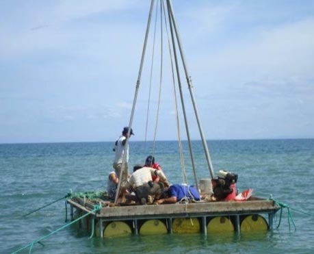 壹号娱乐 - NG大舞台,有梦你就来